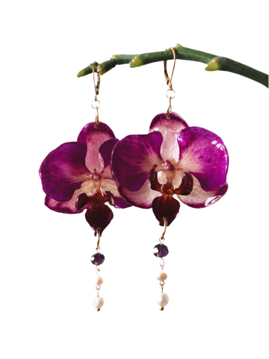 ARETES DÉLICATESSE