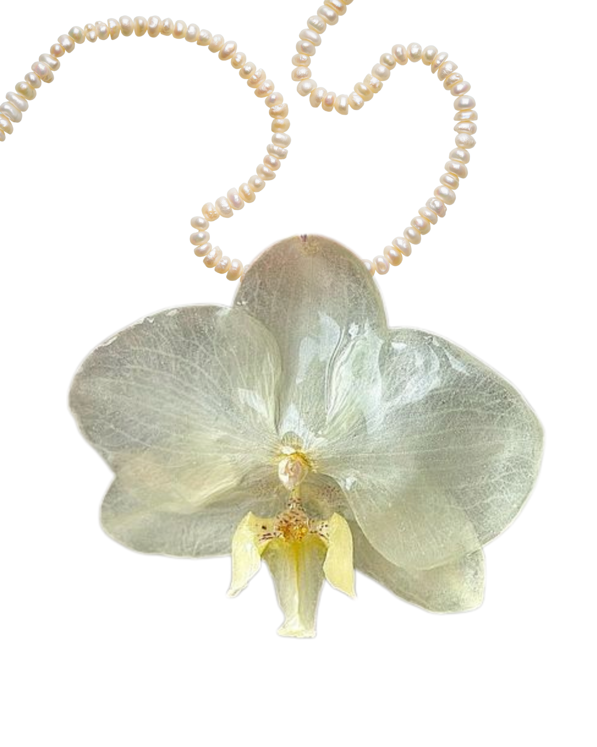 Personaliza: PERLAS