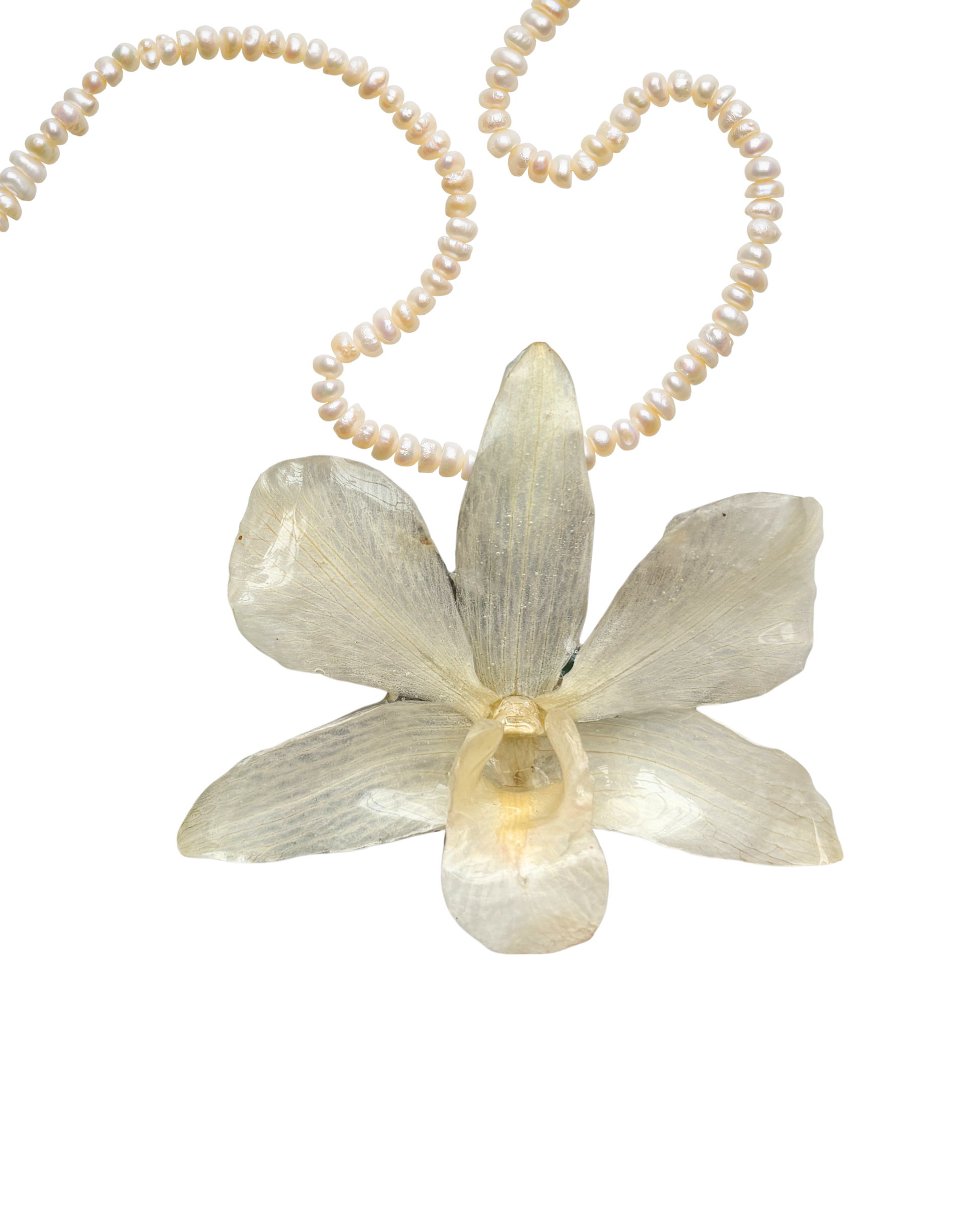 Personaliza: PERLAS