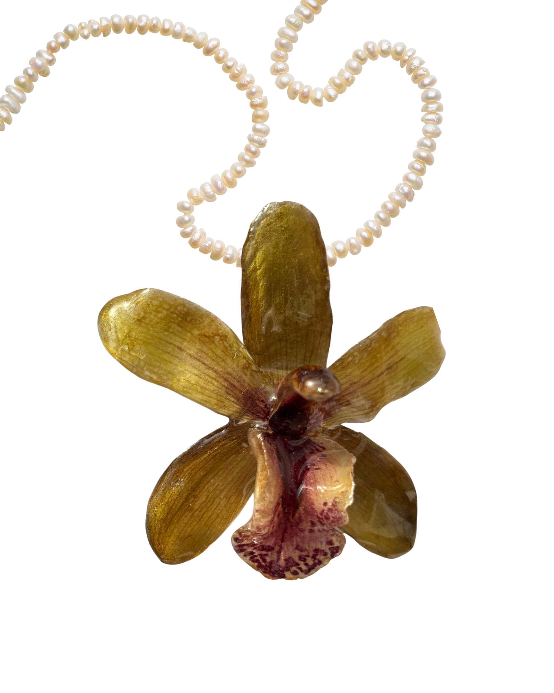 Personaliza: PERLAS
