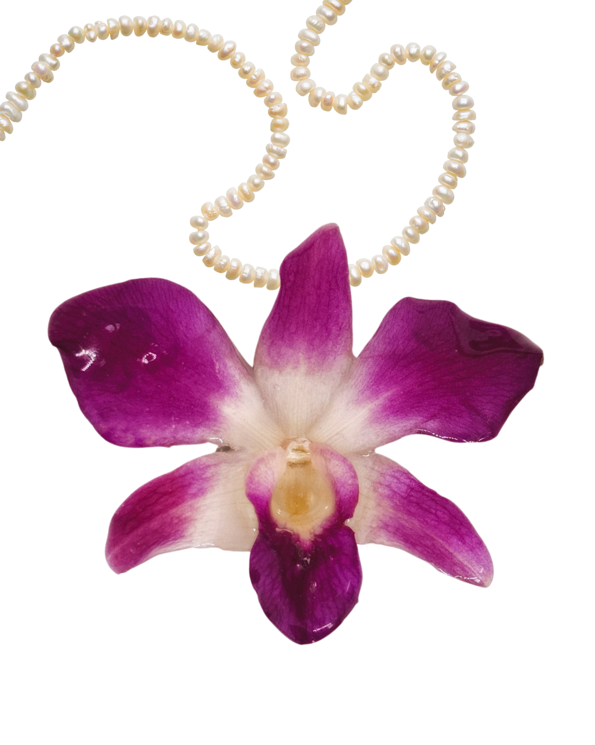 Personaliza: PERLAS
