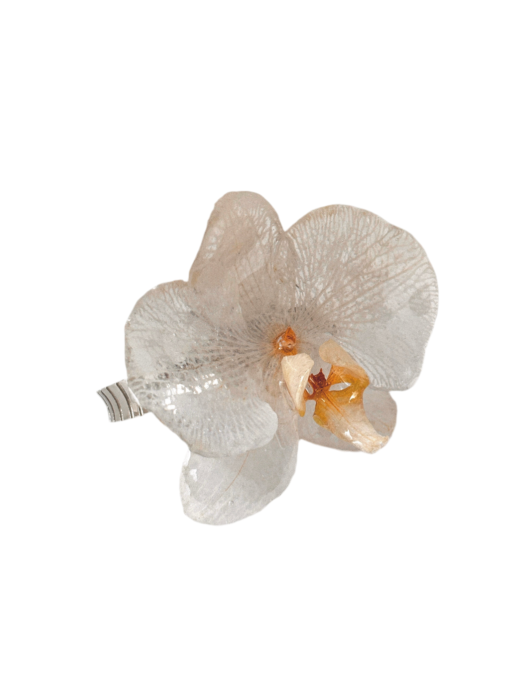 MARIPOSA