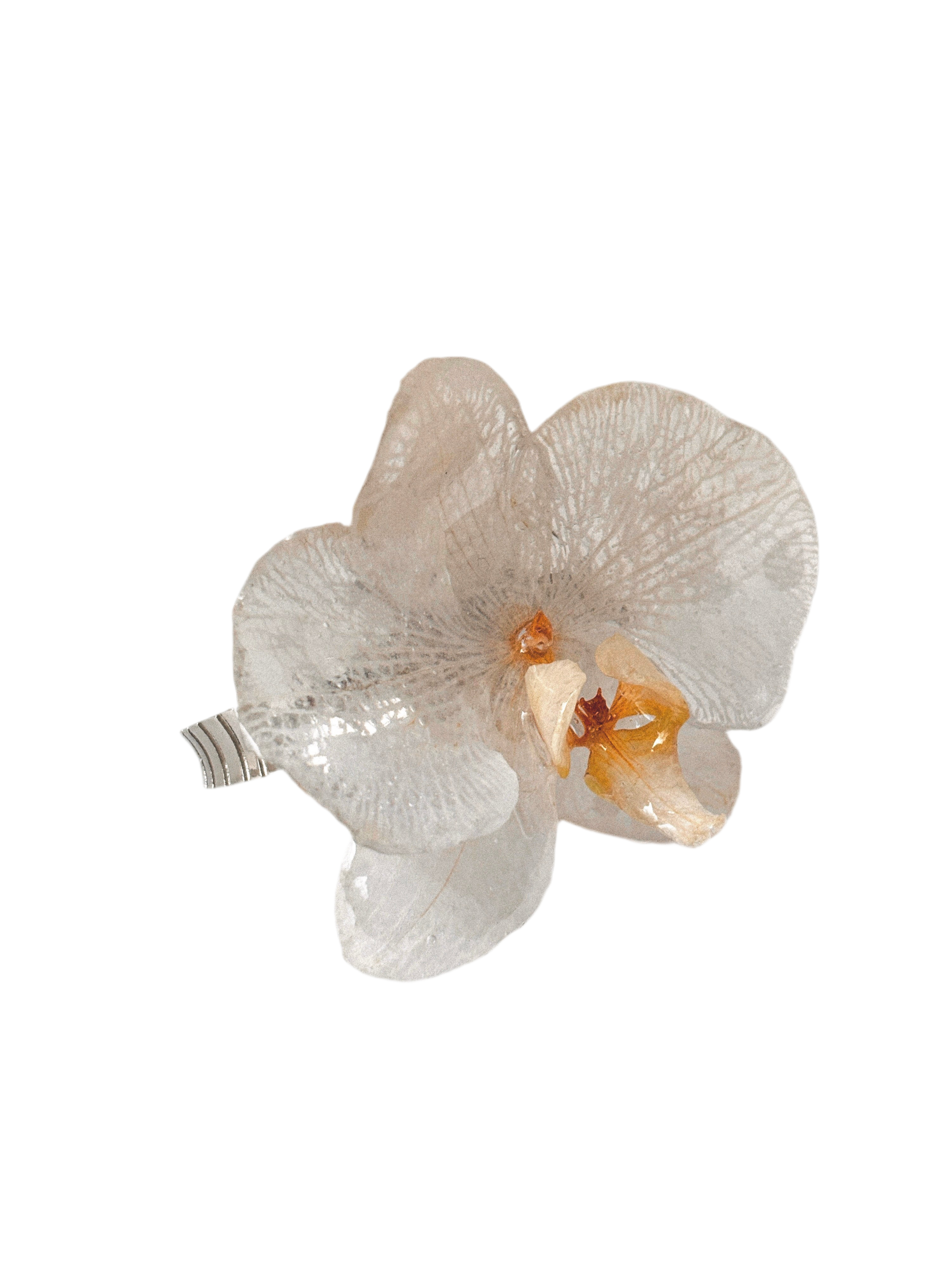 MARIPOSA