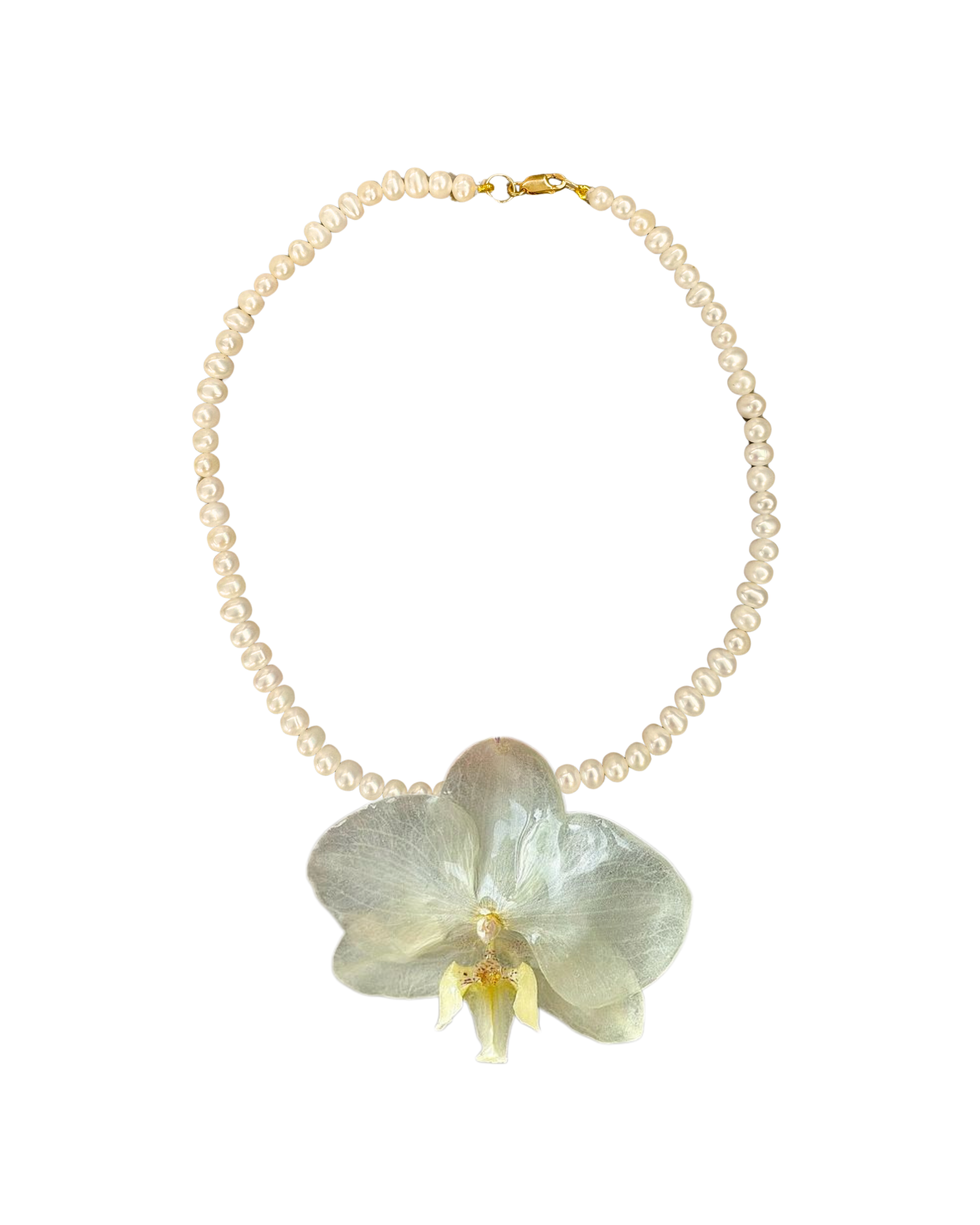 Personaliza: PERLAS