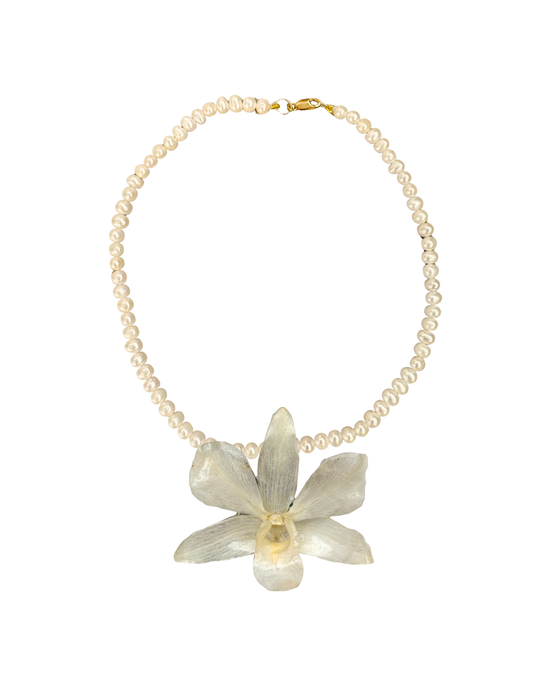 Personaliza: PERLAS