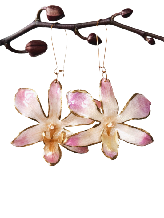 ARETES PAIX