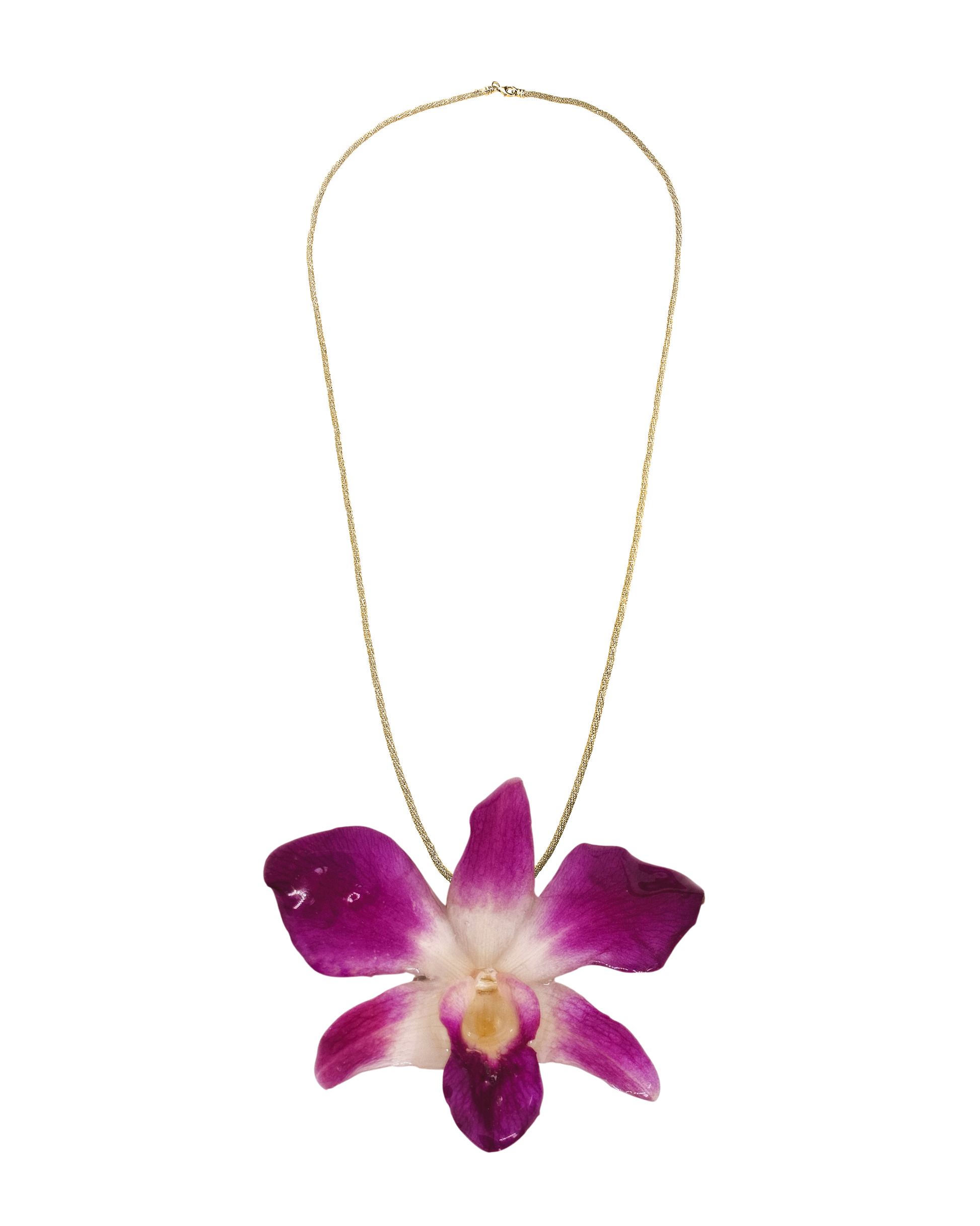 Personaliza: CADENA